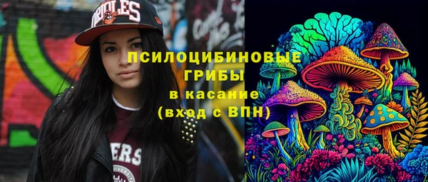 ешки Богородицк