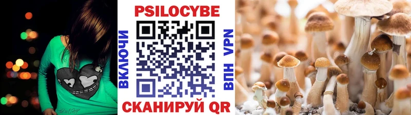закладки  Кинешма  Галлюциногенные грибы Psilocybe 